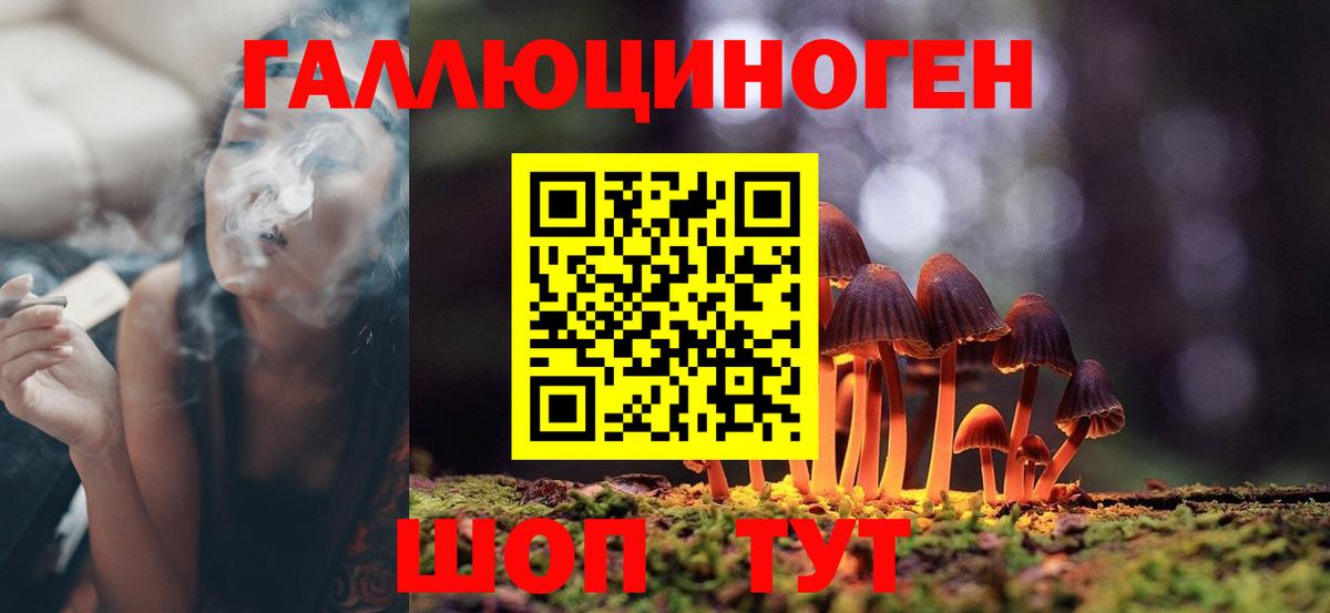 Псилоцибиновые грибы Psilocybine cubensis  Вход с VPN  Михайловск 
