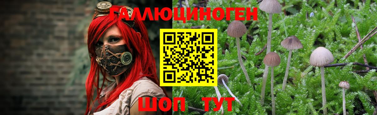 Галлюциногенные грибы Magic Shrooms Михайловск