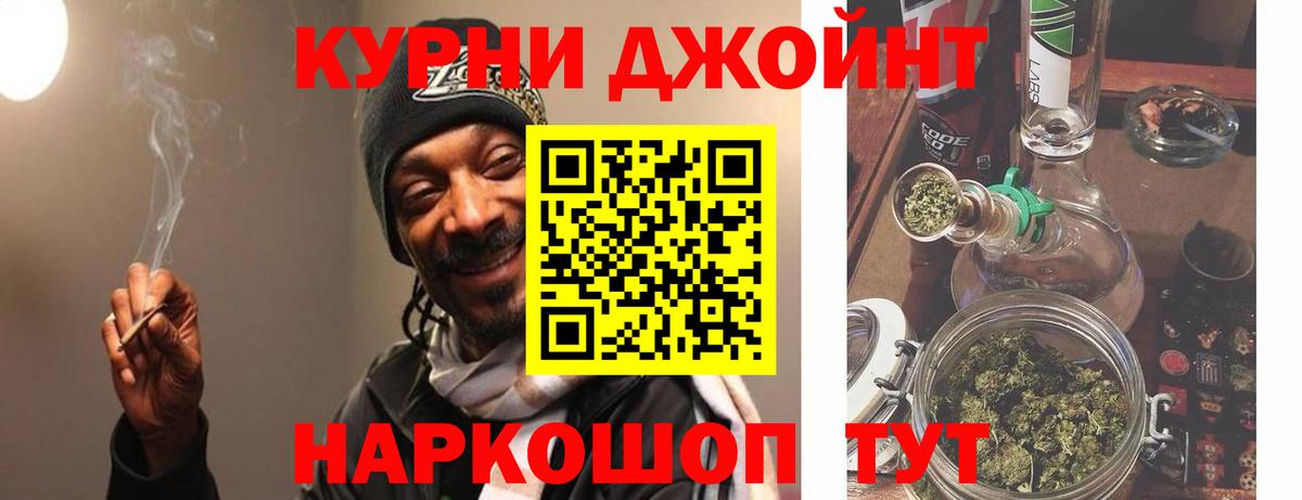 Каннабис сатива Михайловск